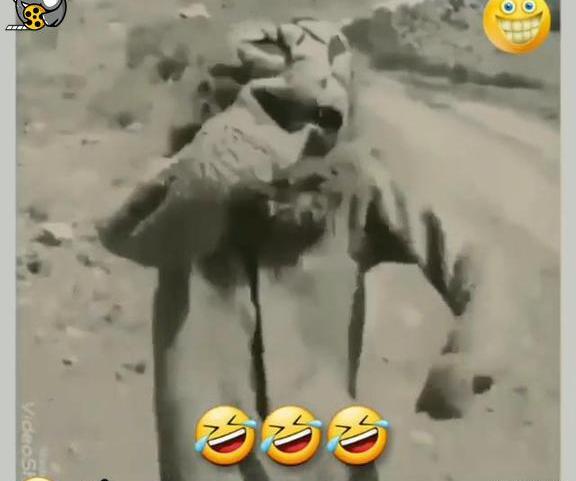 عکس شیر تعزیه خوانی