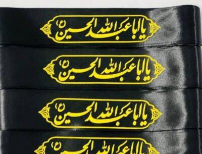 عکس لباس شیر تعزیه