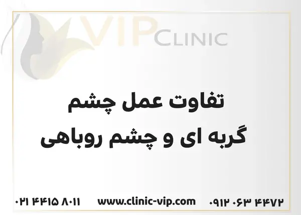عکس چشم های روباه