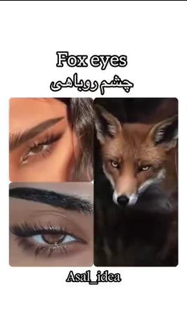 عکس چشمان روباهی