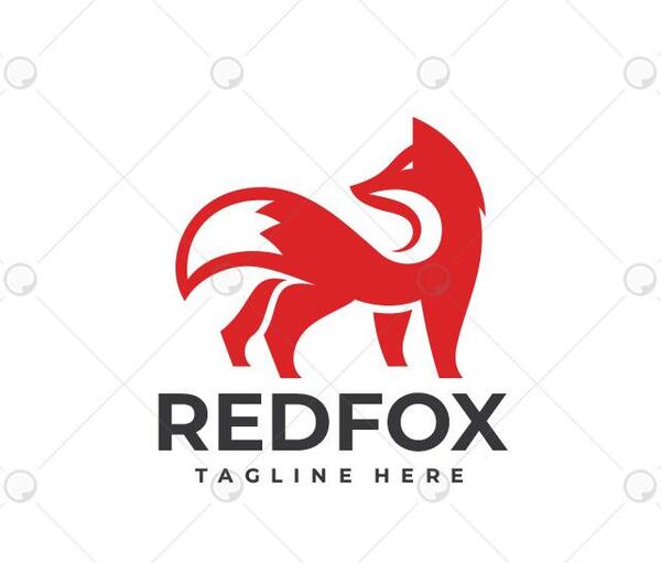 عکس روباه قرمز برای پروفایل