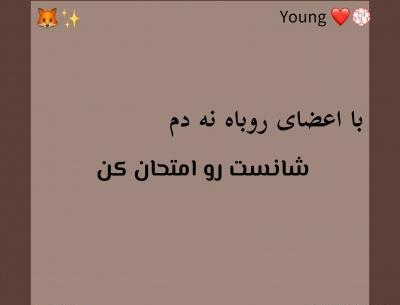 عکس پروفایل روباه نه دم