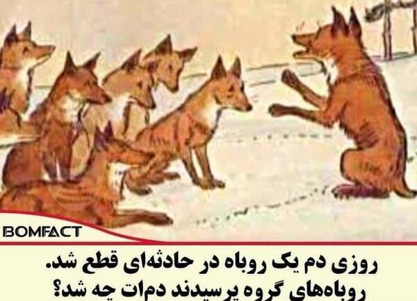 عکس پروفایل روباه مکار