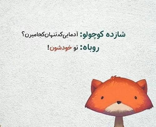 عکس پروفایل روباه مکار