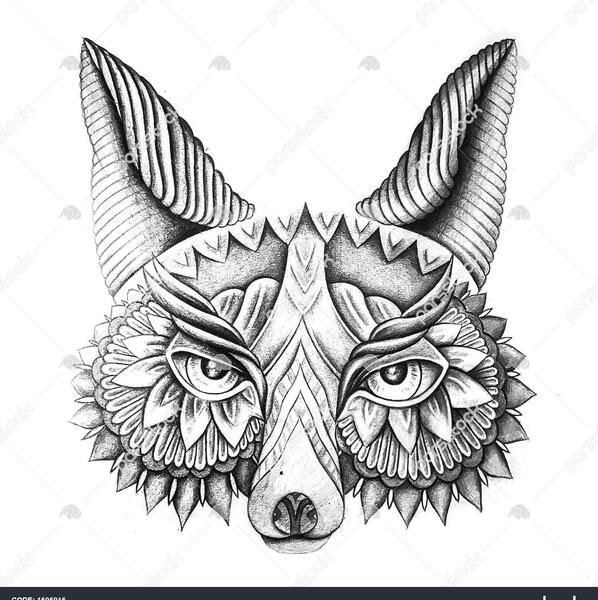عکس صورت روباه برای نقاشی