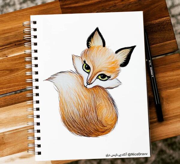 عکس روباه ساده برای نقاشی