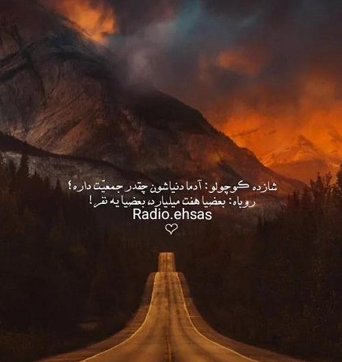 عکس روباه کیوت برای پروفایل