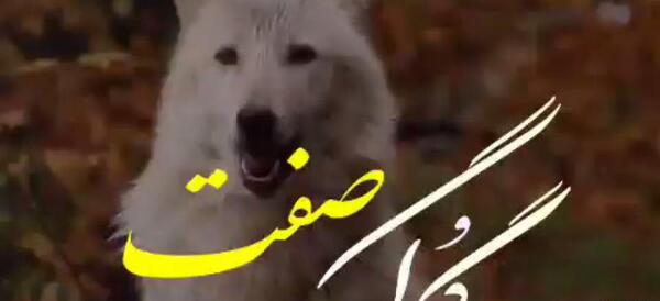 عکس نوشته درباره آدمهای روباه صفت