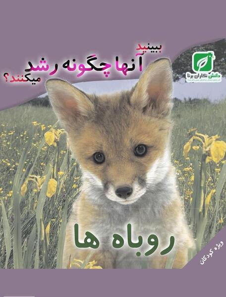 عکس نوشته درباره آدمهای روباه صفت