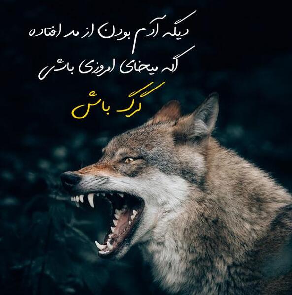 عکس نوشته درباره آدمهای روباه صفت