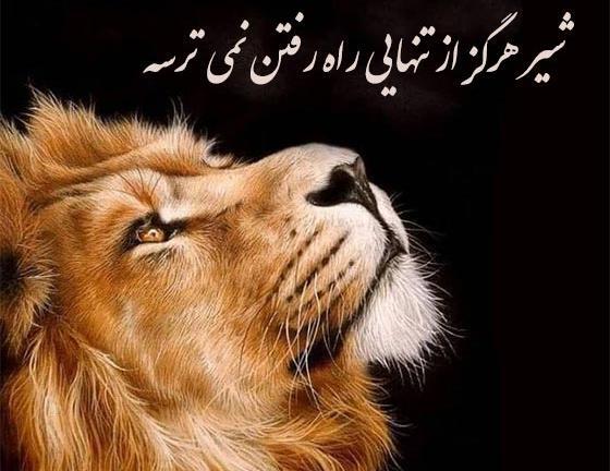 عکس نوشته درباره آدمهای روباه صفت