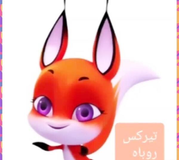 عکس کوامی روباه قرمز