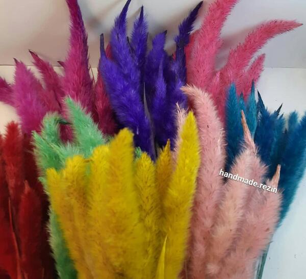 عکس دم روباه واقعی