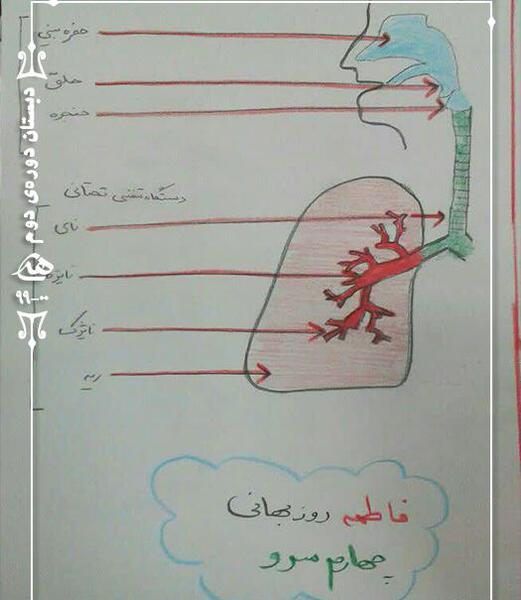 عکس نقاشی ریه کودکانه