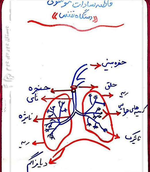عکس نقاشی ریه کودکانه