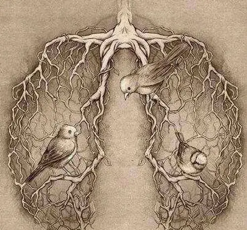 عکس ریه برای نقاشی
