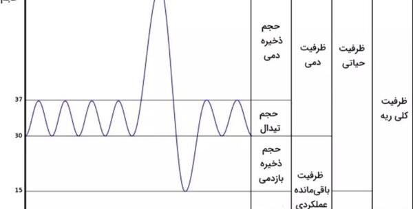 عکس تست ریه ناسالم