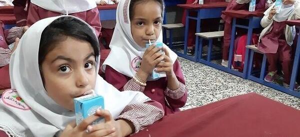 عکس شیر کیک مدرسه