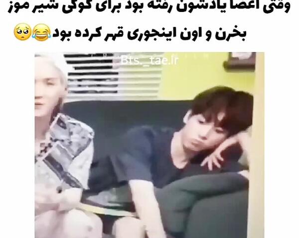 عکس کیوت شیر موز