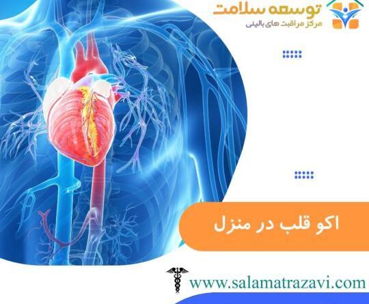 عکس از ریه مشهد