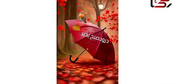 تعبیر عکس ریه در فال قهوه