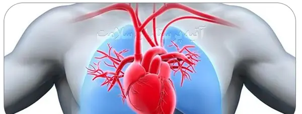 عکس قلب و ریه