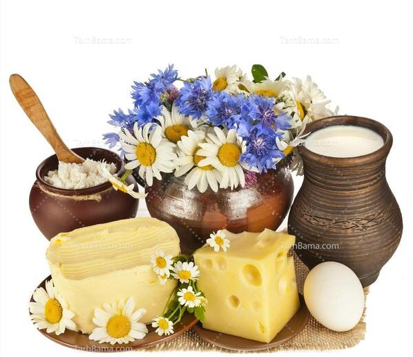 عکس شیر و گل