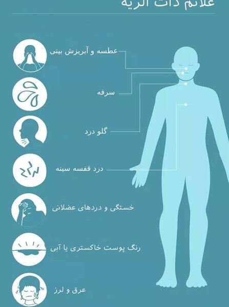 عکس ریه ذات الریه