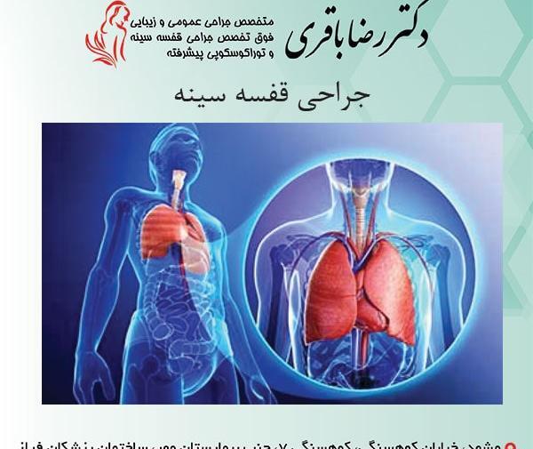 ریه کجای بدن قرار دارد عکس