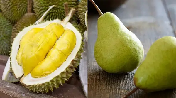 عکس شاه میوه ها