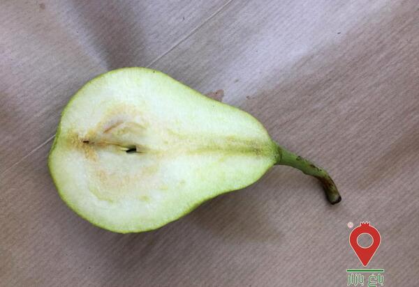 عکس شاه میوه ها