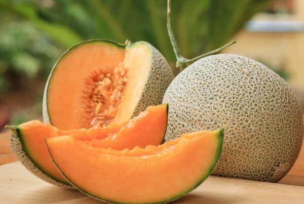 عکس میوه شاه پسند