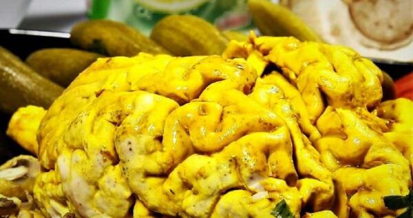 عکس ریه خراب گوسفند