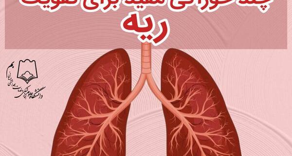 عکس ریه ها در بدن