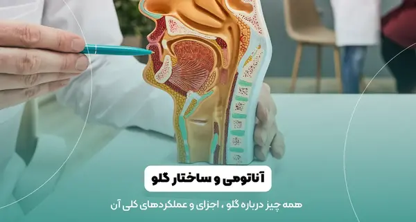 عکس ریه انسان واقعی