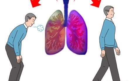 عکس نقاشی ریه انسان