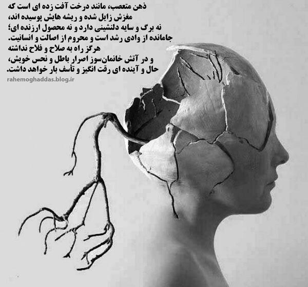 عکس نوشته ریشه و اصالت