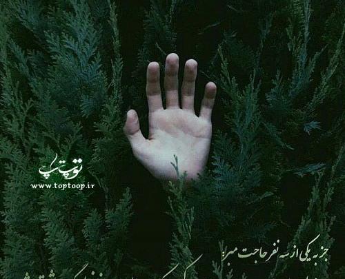 عکس نوشته ریشه و اصالت