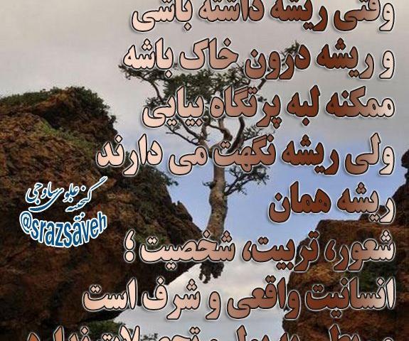 عکس نوشته ریشه که داشته باشی خم میشی ولی نمیشکنی