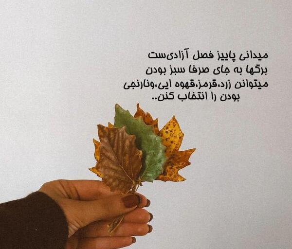 عکس نوشته ریشه که داشته باشی خم میشی ولی نمیشکنی