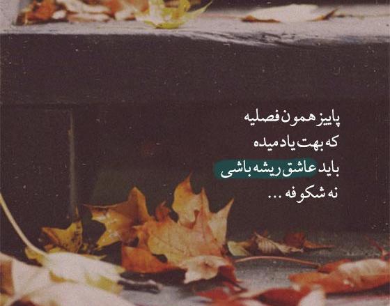 عکس نوشته اصالت و ریشه داشتن