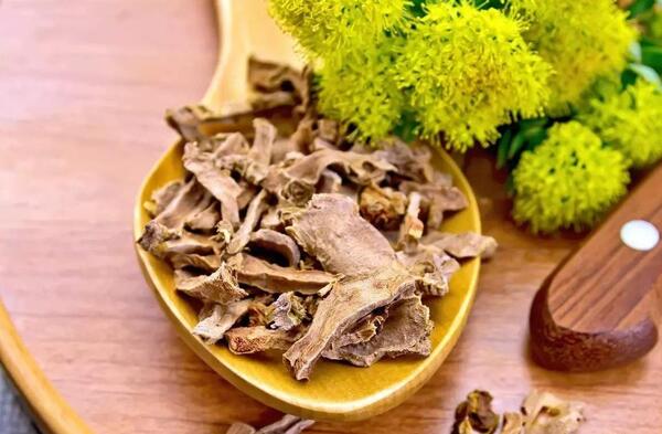 عکس گل ریشه