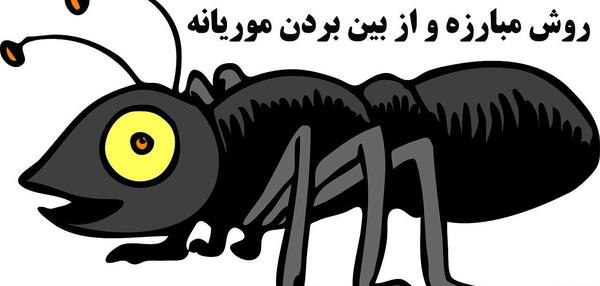 عکس ریشمیز دیوار