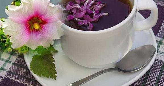 عکس ریشه گل ختمی
