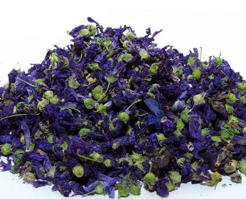 عکس ریشه گل ختمی