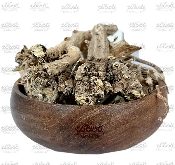 عکس ریشه گل ختمی