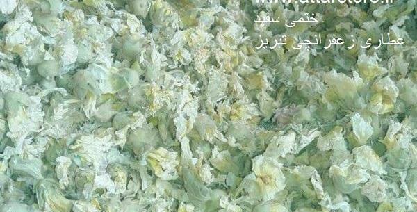 عکس ریشه گل ختمی