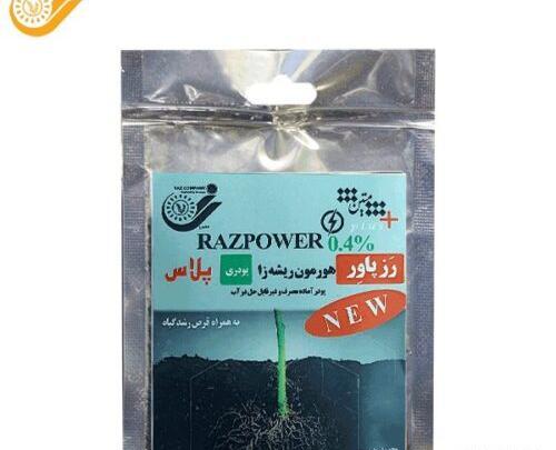 عکس ریشه گل رز
