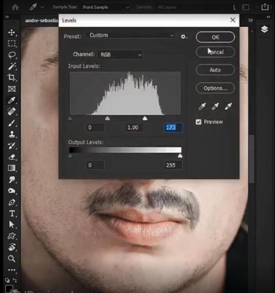 ریش و سبیل گذاشتن رو عکس