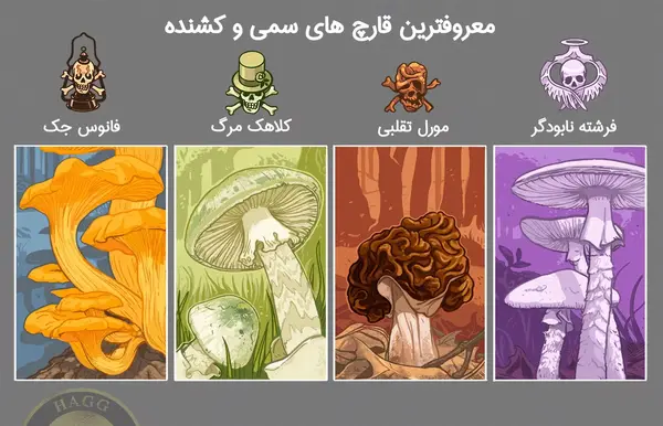 عکس قارچ ریشه ای